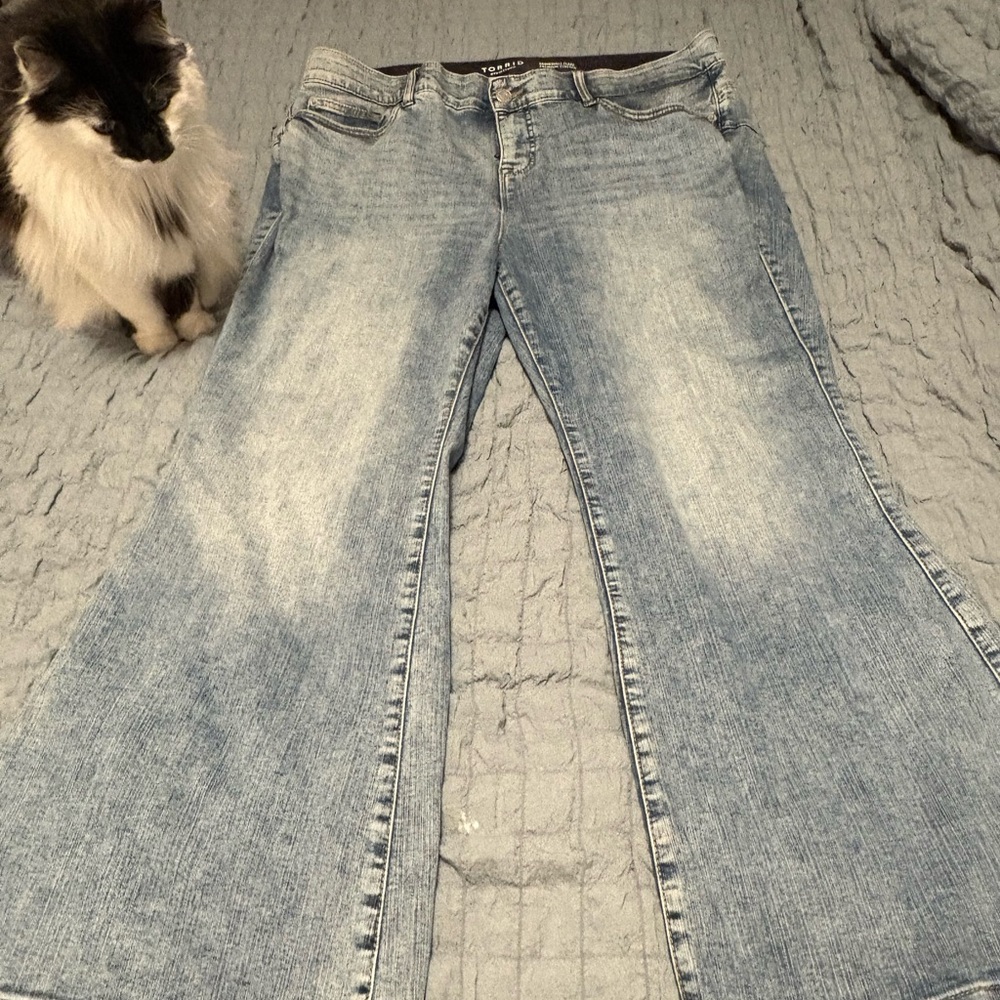 Torrid Light Blue Flare Jeans